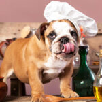 Can Dogs Have Olive Oil? Discover the Incredible Benefits!